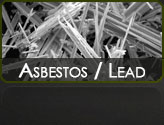 Asbestos and Lead Services